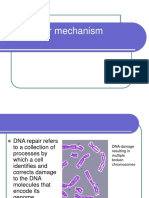 Dna Repair Mechanisms