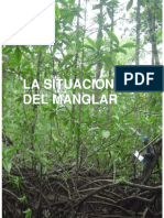 Situacion Manglar 3.