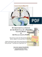 Environmenta Justice PDF