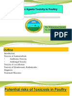 Therapeutic Agents Toxicity in Poultry