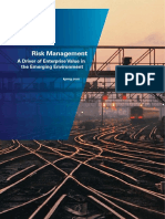 KPMG Risk Management Survey 2011 1 PDF