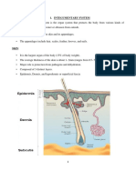 4 Ntegumentary System