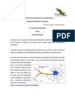 Tema 2 Sistema Nervioso