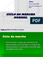 Ciclo Da Marcha