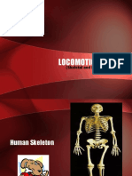 Locomotion System: (Skeletal and Muscular Systems)