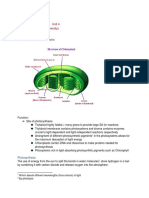 A Level Biology Notes - Unit 4 (Edexcel)