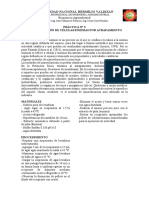 Práctica 3 Inmovilización de Células Enzimas Por Atrapamiento