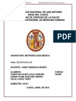 Laboratorio de Microbiologia-Escherichia Coli