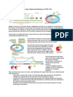 Summary Molecular Biology of The Cell Chapter 17