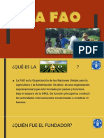 La Fao