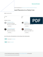 A Case of Retained Placenta in A Dairy Cow: December 2016