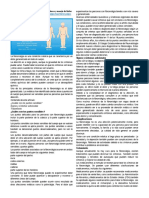 La Fibromialgia Puede Enmascarar La Enfermedad Inflamatoria Crónica de La Columna Vertebral y La Pelvis