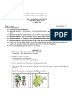 Xii Bio 4 Q