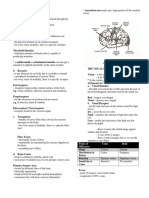 Points of Difference Cones Rods