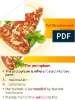 Cell Structure and Function2