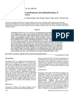 Angiogenic Factors in The Pathogenesis and Pathophysiology of Preeclampsia A Mini Review