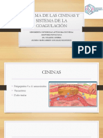 Sistema de Las Cininas y Sistema de La