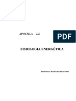 Fisiologia Energética