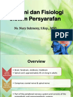 Anatomi Dan Fisiologi Sistem Persyarafan