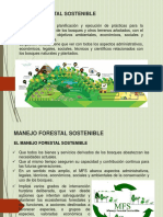 Manejo Forestal y PMF (C-3)