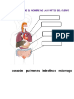 Guia de Repaso Repaso Sistemas Digestivo, Locomotor y Circulatorio