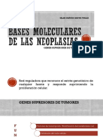 Bases Moleculares de Las Neoplasias