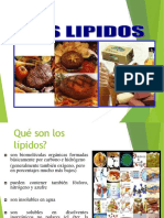 Lipidos 130716235238 Phpapp02