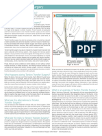 Tendon Transfer