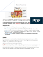 Trabalho Anatomia