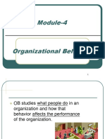 OB Introduction (Organizational Behaviour)