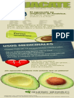 Infografía Del Aguacate