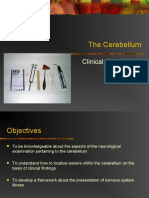 The Cerebellum: Clinical Examination