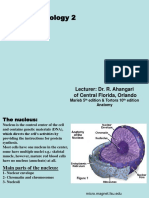 Cell Physiology 2: Lecturer: Dr. R. Ahangari of Central Florida, Orlando