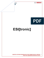 Esi 1