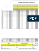 Informe Mensual de La Practica