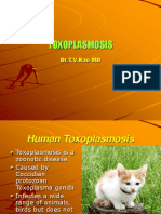 Toxoplasmosis