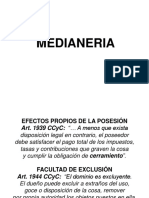 MT #08 MEDIANERIA Apunte PDF