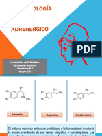 Farmacología Del Sistema Adrenérgico