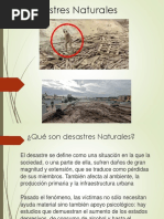 Desastres Naturales PPT Medina