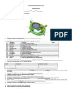 Taller Estructura Celular