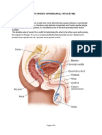 Prostate Specific Antigen Total Free