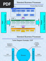 Process Maps and Turtle Diagrams Example