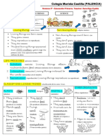 Información A Familias PDF