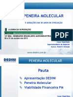 15 Dedini 31 PDF