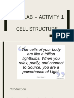 Post Lab - Activity 1 Cell Bio