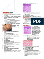 Connective Tissue Types