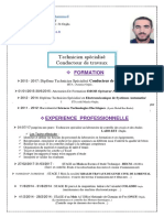 CV Min PDF