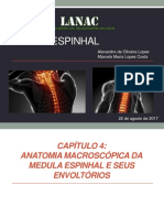 Neuroanatomia Da Medula Espinhal