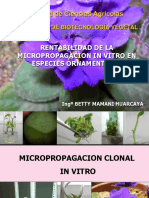 Micropropagacion