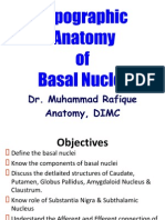 Topographic Anatomy of Basal Nuclei